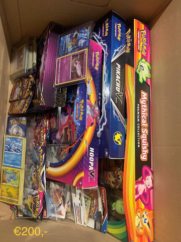 Pokémon TCG: Mystery Box Large